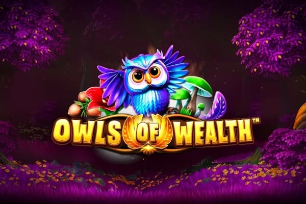 Owls of Wealth - Slot SYNOT Games | RTP 96.01% | MisterTopCasino