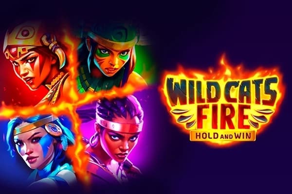 Wild Cats Fire - Slot Kendoo | RTP N/A | MisterTopCasino