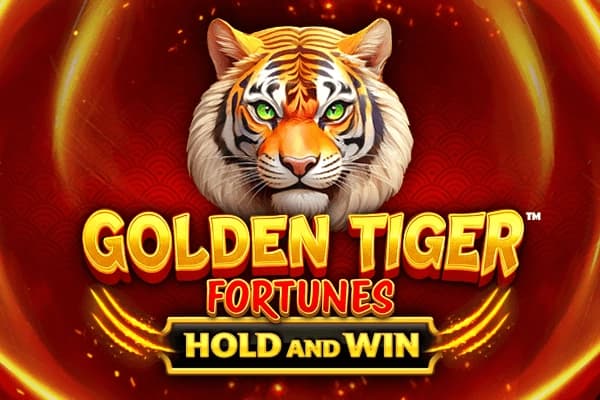 Golden Tiger Fortunes - Slot Dragon Gaming | RTP 95.22% | MisterTopCasino
