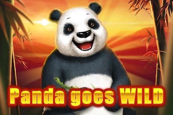 Panda Goes Wild - Slot SpinOro | RTP N/A | MisterTopCasino