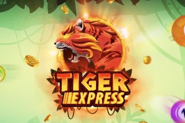 Tiger Express - Slot Darwin Gaming | RTP N/A | MisterTopCasino