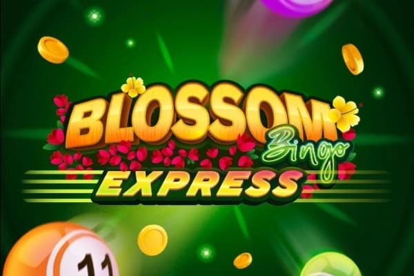 Blossom Bingo Express - Slot Darwin Gaming | RTP N/A | MisterTopCasino