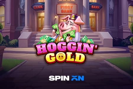 Hoggin' Gold - Slot SpinOn | RTP 94% | MisterTopCasino
