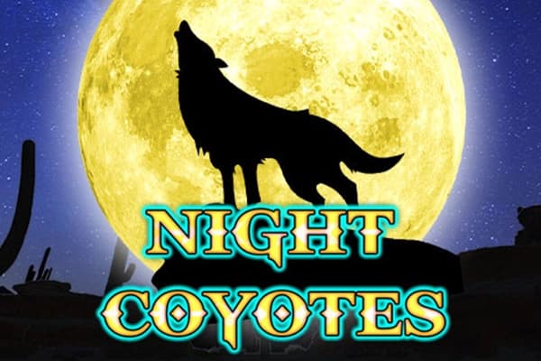 Night Coyotes - Slot SlotoLand | RTP 95.1% | MisterTopCasino