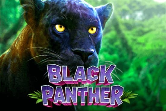 Black Panther - Slot GMW | RTP N/A | MisterTopCasino