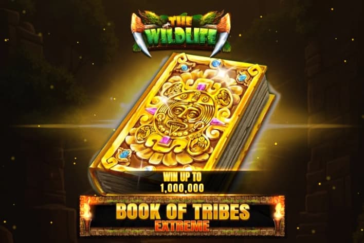 Book of Tribes Extreme - Slot Spinomenal | RTP N/A | MisterTopCasino