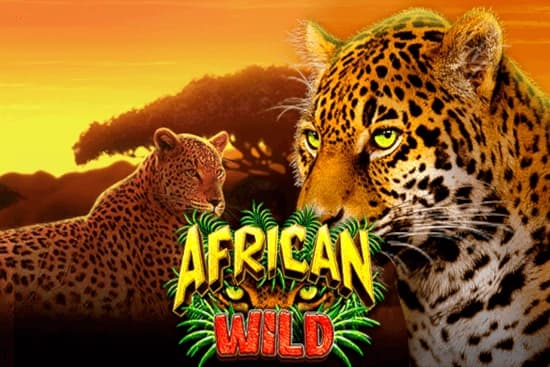 African Wild - Slot GMW | RTP N/A | MisterTopCasino