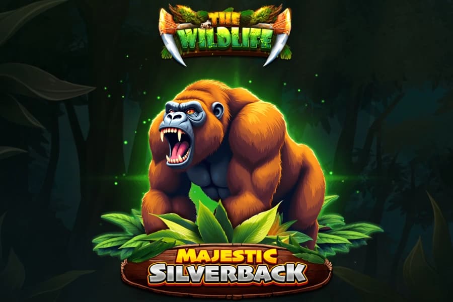 Majestic Silverback - Slot Spinomenal | RTP N/A | MisterTopCasino