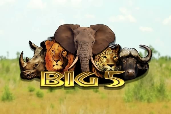 Big 5 - Slot Tech4Bet | RTP N/A | MisterTopCasino