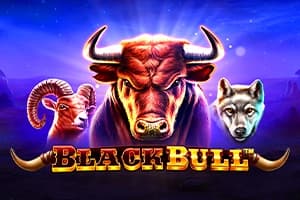 Black Bull - Slot Pragmatic Play | RTP 96.51% | MisterTopCasino