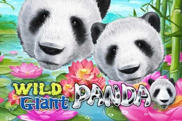 Wild Giant Panda - Slot Eurasian Gaming | RTP N/A | MisterTopCasino