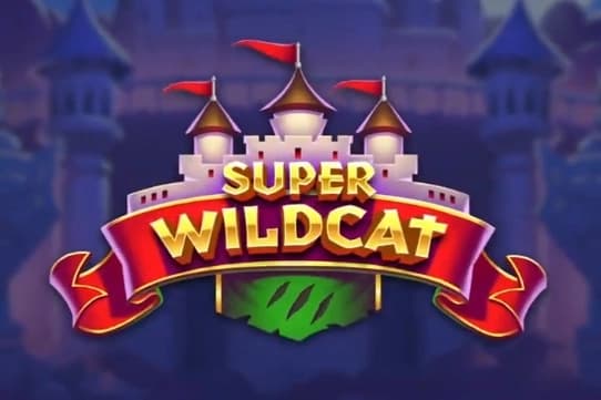 Super WildCat - Slot Massive Studios | RTP N/A | MisterTopCasino