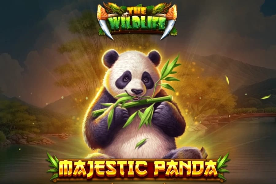 Majestic Panda - Slot Spinomenal | RTP N/A | MisterTopCasino