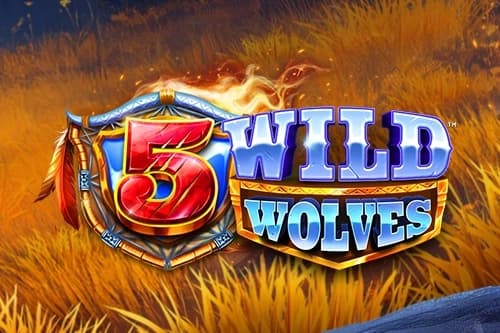 5 Wild Wolves - Slot 4ThePlayer | RTP N/A | MisterTopCasino