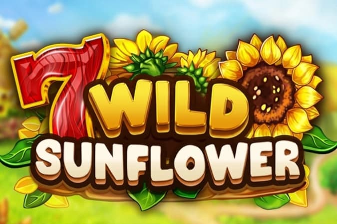 Wild Sunflower - Slot FAZI | RTP N/A | MisterTopCasino