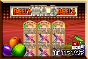 Reely Wild Reels - Slot Tiptop | RTP N/A | MisterTopCasino
