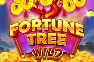 Fortune Tree Wild - Slot Funky Games | RTP N/A | MisterTopCasino