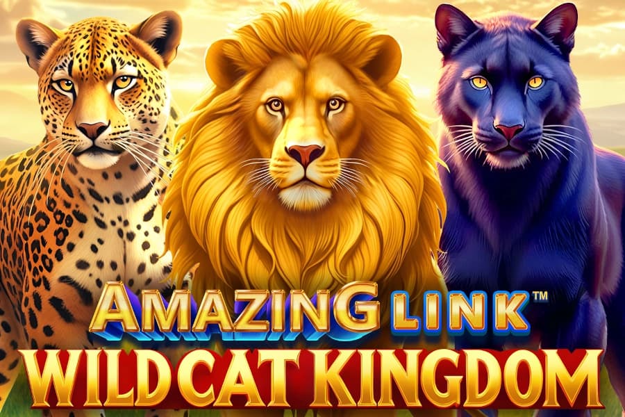 Amazing Link WildCat Kingdom - Slot SpinPlay Games | RTP N/A | MisterTopCasino