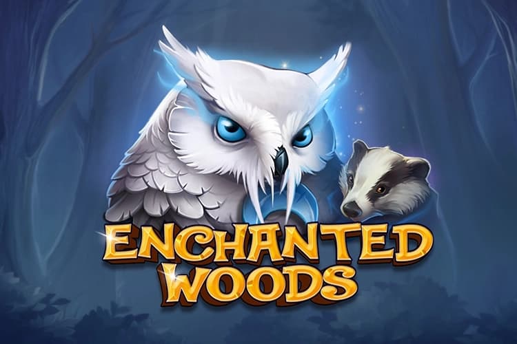 Enchanted Woods - Slot CT Interactive | RTP N/A | MisterTopCasino