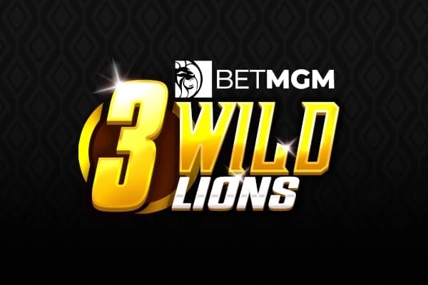 3 Wild Lions - Slot NetGaming | RTP N/A | MisterTopCasino