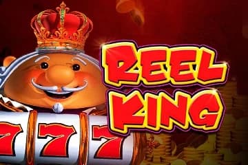 Reel King Mega - Slot Red Tiger Gaming | RTP 96.17% | MisterTopCasino