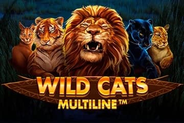 Wild Cats Multiline - Slot Red Tiger Gaming | RTP 96.19% | MisterTopCasino