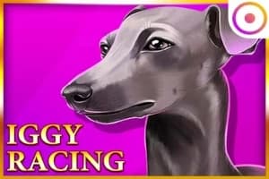 Iggy Racing - Slot Onlyplay | RTP N/A | MisterTopCasino