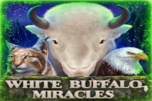 White Buffalo Miracles - Slot Boldplay | RTP N/A | MisterTopCasino