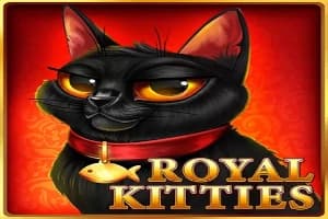 Royal Kitties - Slot Onlyplay | RTP N/A | MisterTopCasino