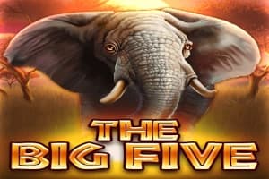 The Big Five - Slot Ready Play Gaming | RTP N/A | MisterTopCasino