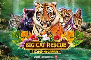 Big Cat Rescue Megaways - Slot Red Tiger Gaming | RTP 95.71% | MisterTopCasino