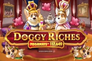 Doggy Riches Megaways - Slot Red Tiger Gaming | RTP 95.7% | MisterTopCasino