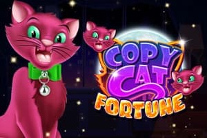Copy Cat Fortune - Slot RTG | RTP N/A | MisterTopCasino