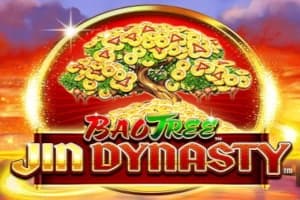 Jin Dynasty - Slot Skywind | RTP N/A | MisterTopCasino