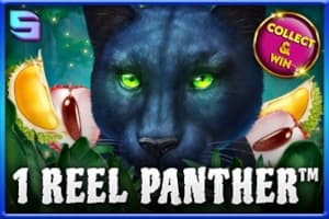 1 Reel Panther - Slot Spinomenal | RTP N/A | MisterTopCasino