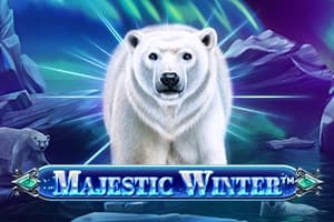 Majestic Winter - Slot Spinomenal | RTP N/A | MisterTopCasino