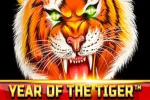 Year of the Tiger - Slot Spinomenal | RTP N/A | MisterTopCasino