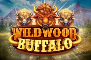 Wildwood Buffalo - Slot Wizard Games | RTP N/A | MisterTopCasino