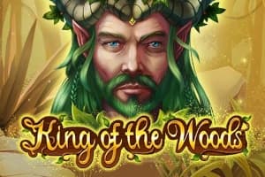 King of the Woods - Slot Yolted | RTP N/A | MisterTopCasino