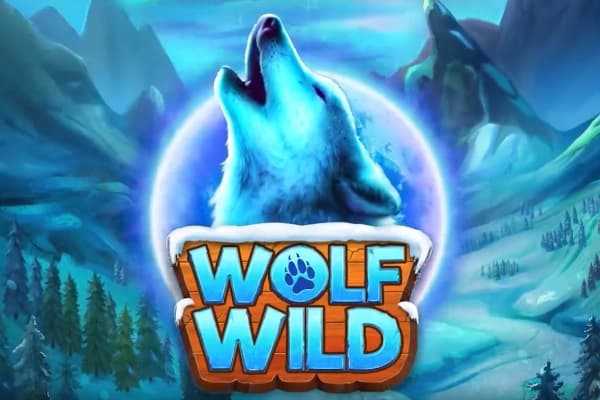 Wolf Wild - Slot REEVO | RTP N/A | MisterTopCasino