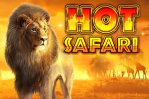 Hot Safari - Slot Pragmatic Play | RTP N/A | MisterTopCasino