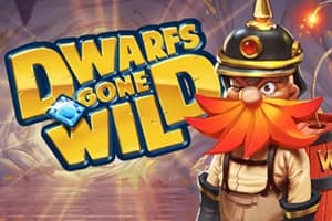 Dwarfs Gone Wild - Slot Quickspin | RTP N/A | MisterTopCasino
