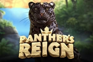Panther's Reign - Slot Quickspin | RTP N/A | MisterTopCasino