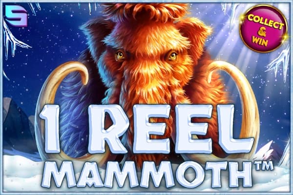 1 Reel Mammoth - Slot Spinomenal | RTP 95.42% | MisterTopCasino