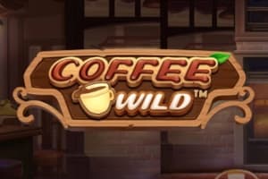 Coffee Wild - Slot Pragmatic Play | RTP N/A | MisterTopCasino