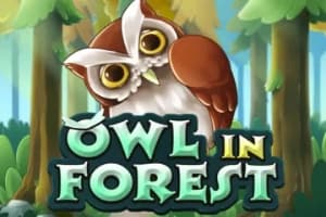 Owl in Forest - Slot KA Gaming | RTP N/A | MisterTopCasino