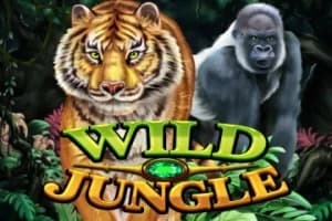 Wild Jungle - Slot KA Gaming | RTP N/A | MisterTopCasino
