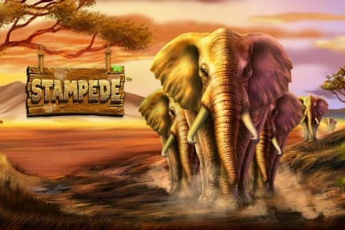 Stampede - Slot Betsoft | RTP N/A | MisterTopCasino