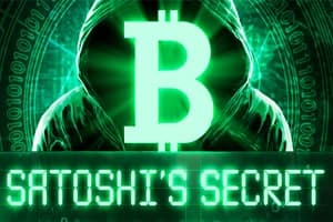 Satoshi's Secret - Slot Endorphina | RTP N/A | MisterTopCasino