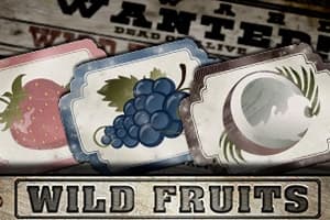 Wild Fruits - Slot Endorphina | RTP N/A | MisterTopCasino